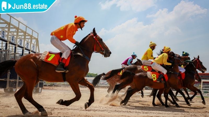 Thể Thao SBO JUN88 Với Trải Nghiệm Cá Độ Chuyên Nghiệp 3 Tham gia đua ngựa trực tuyến